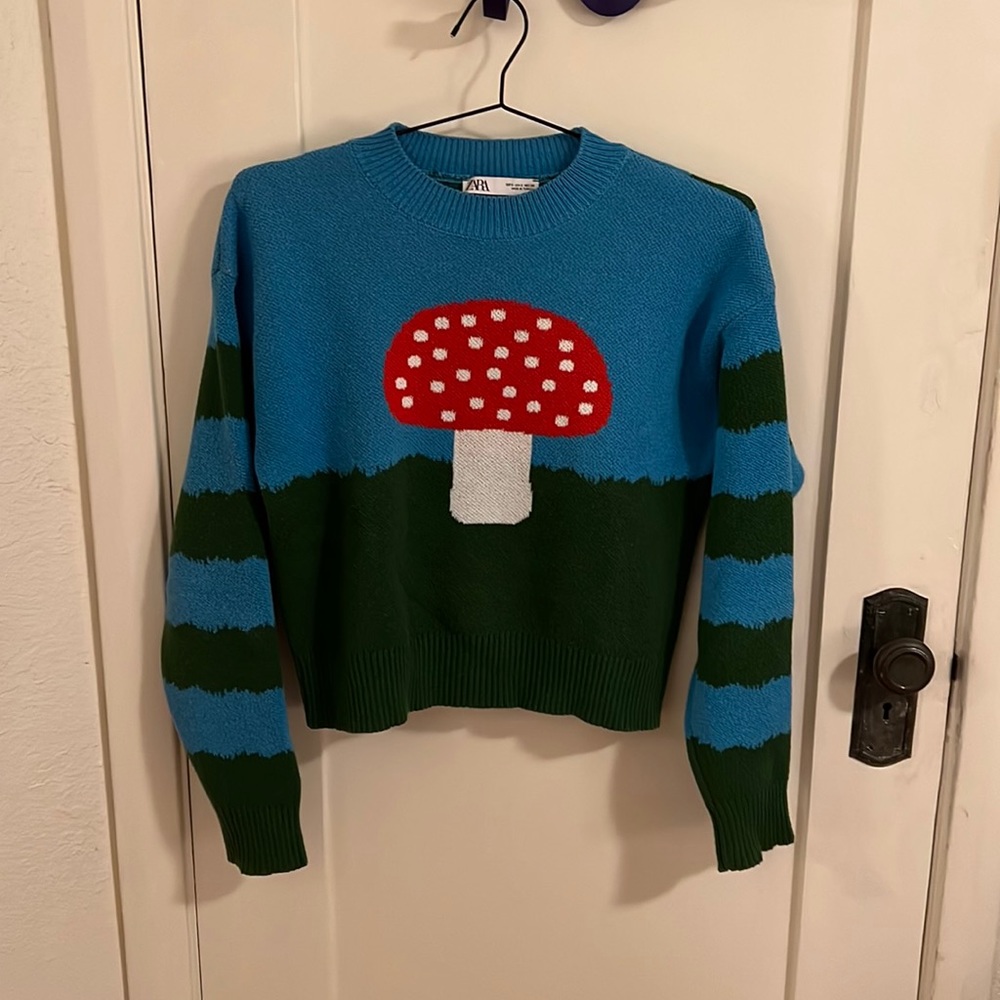 Zara Sweater